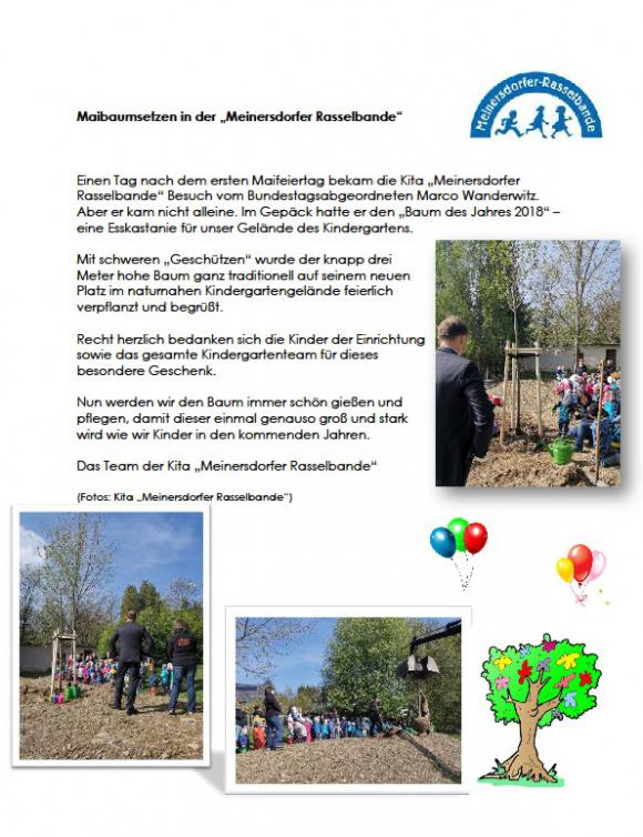 Kita Meinersdorf, Maibaumsetzen 2019